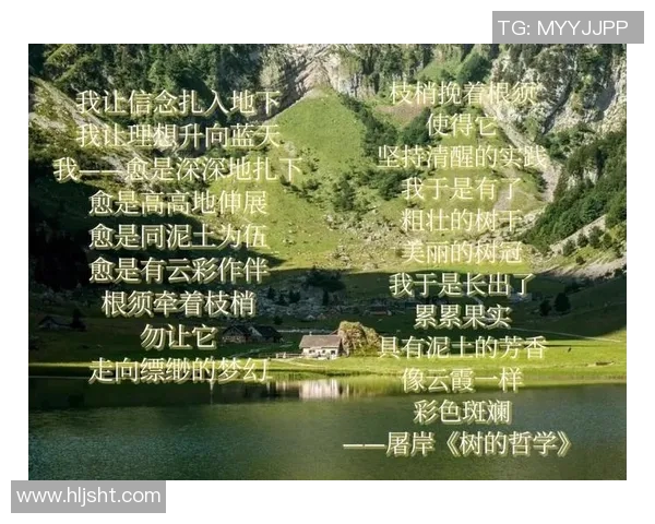 足球明星爱上我免费阅读揭示了爱情与梦想交织的浪漫故事